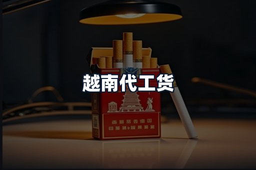 越南代工货